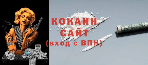 прущие грибы Горно-Алтайск