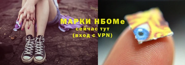 прущие грибы Горно-Алтайск