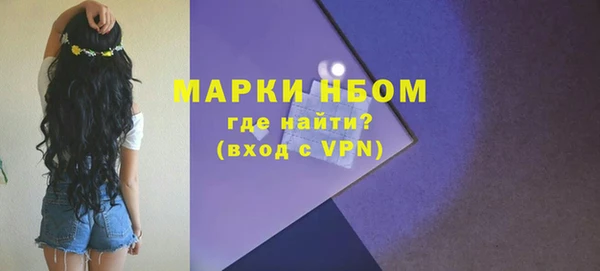 прущие грибы Горно-Алтайск
