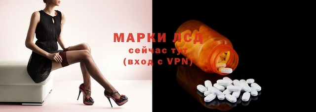 прущие крисы Горняк