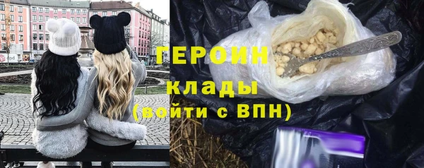 прущие грибы Горно-Алтайск