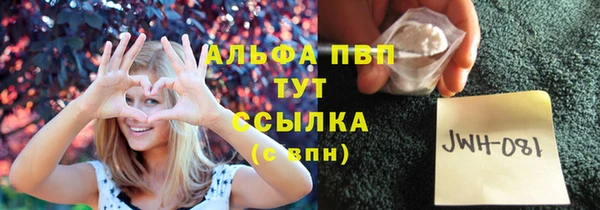 прущие грибы Горно-Алтайск