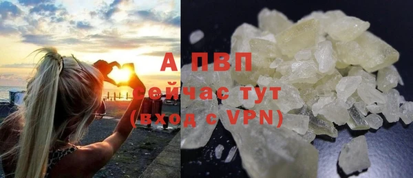 прущие грибы Горно-Алтайск
