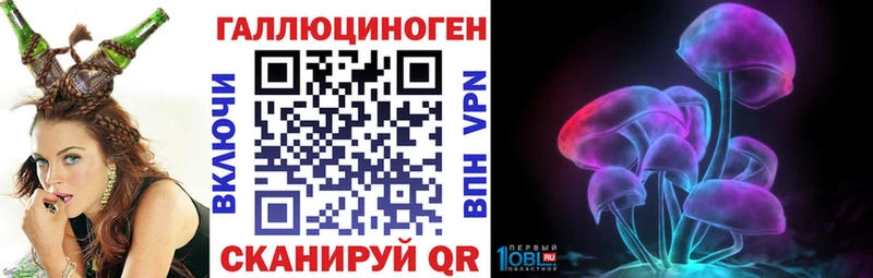 сколько стоит  мега зеркало  Галлюциногенные грибы Psilocybe  Юрга 